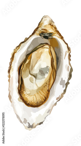 Minimalist Watercolor Oyster Vector Art Perfect for Seafood Lovers and Coastal Decor