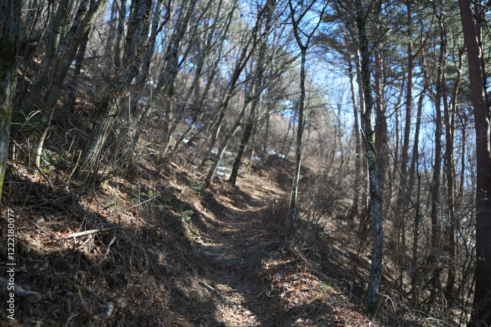 Scenery of mountain trail of Mt.takazuyasan in Komagane City, Nagano Prefecture.