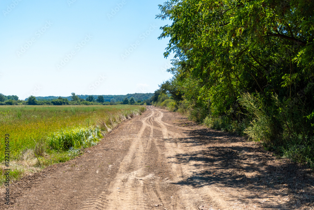 Obraz premium dirt road in the countryside