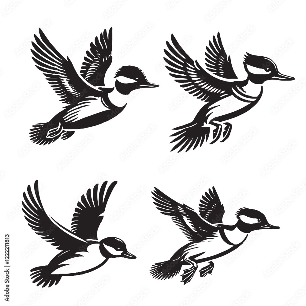 Fototapeta premium Detailed Vector of the Bufflehead Silhouette Isolated on White Background
