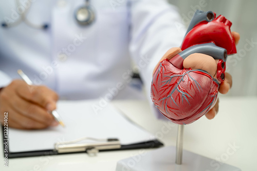 Fotografie Cardiovascular disease CVD, doctor with heart human model anatomy for treatment patient in hospital