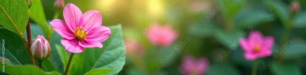 Pink flowers peeking from behind a green leaf, floral arrangement, pink flowers, garden Pink flowers peeking from behind a green leaf, floral arrangement, pink flowers, garden