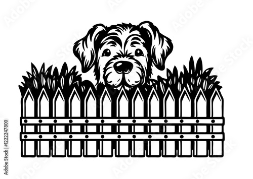 dog in a cage