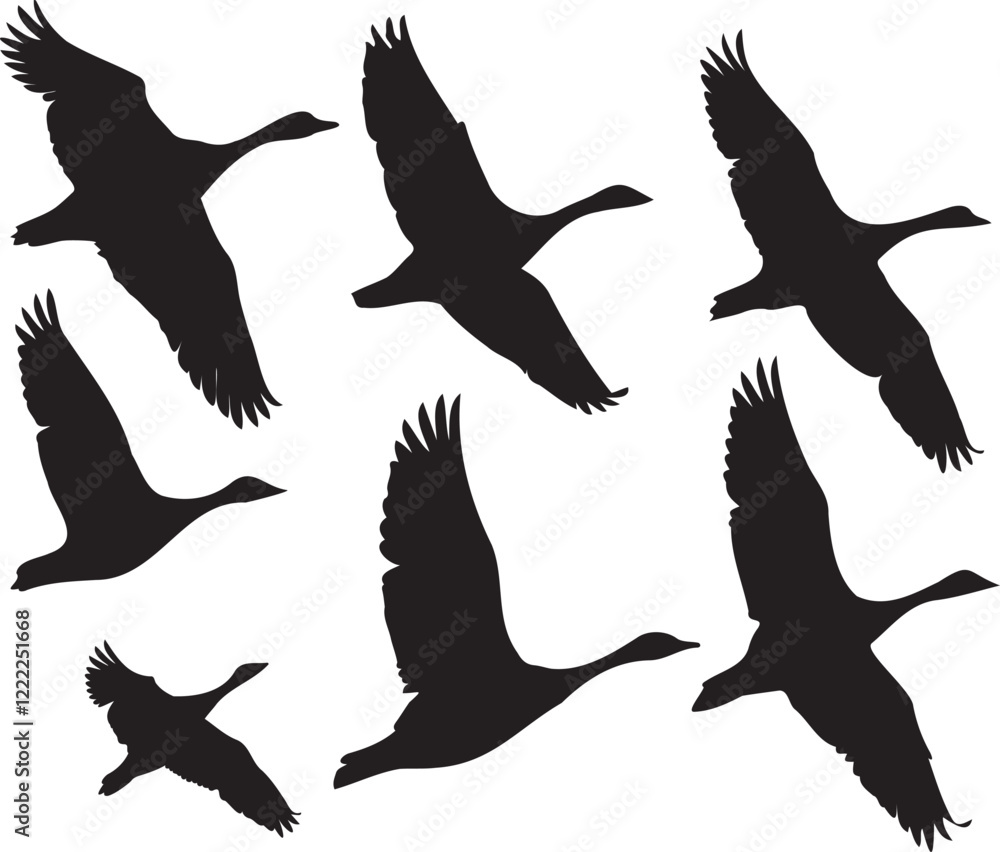 Obraz premium Abstract Back Ground Line art 2