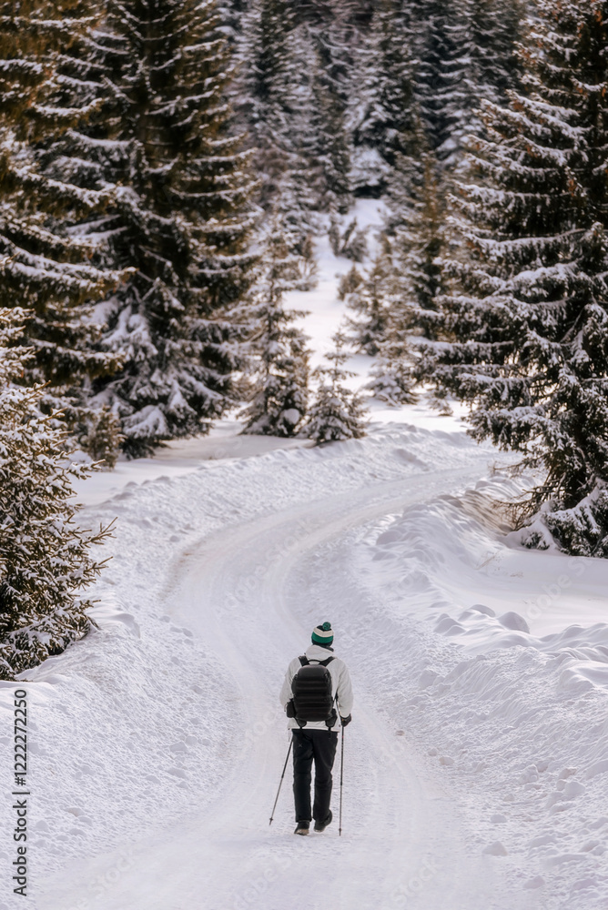 Man Hiking with Trekking Poles in Winter Forest