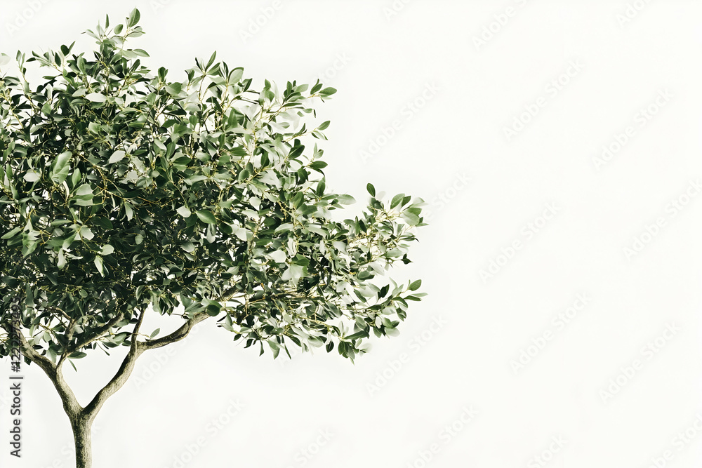 Green Tree Branch Minimalist Nature Photography Print Green Tree Branch Minimalist Nature Photography Print