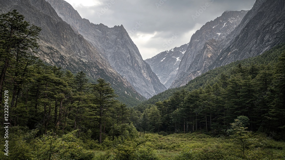Mountain valley forest landscape, overcast, travel Mountain valley forest landscape, overcast, travel
