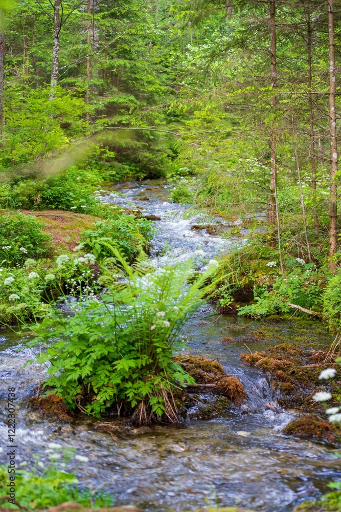River with a small waterfall in a colorful alpine forest. Landscape with lush beautiful green grass along a mountain stream. beautiful flowers in the mountains River with a small waterfall in a colorful alpine forest. Landscape with lush beautiful green grass along a mountain stream. beautiful flowers in the mountains