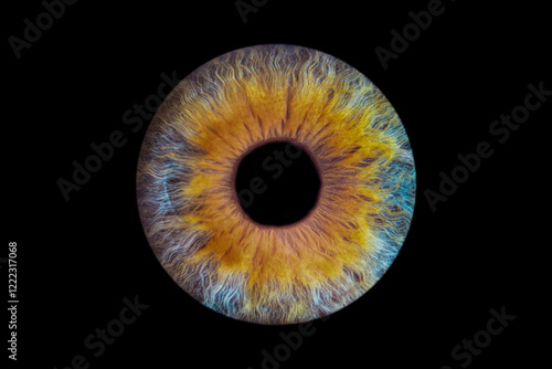 Iris humain artistique- photographie yeux

