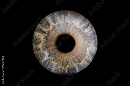 Iris humain artistique- photographie yeux
