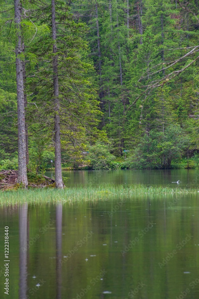 Obraz premium Beautiful landscape with the mountain lake Grner See in Austria and the forest reflected in the water.