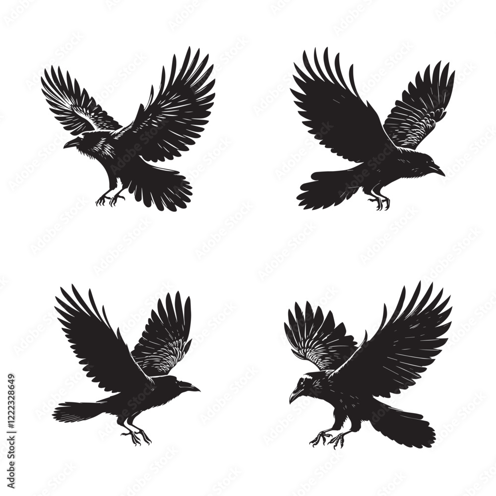 Obraz premium High-Quality Vector Silhouette of a Flying Common Raven on White Background