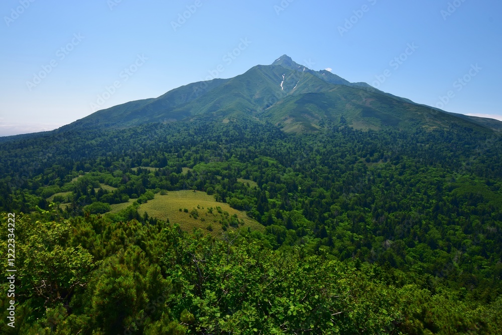 Obraz premium 緑生い茂る 利尻島
