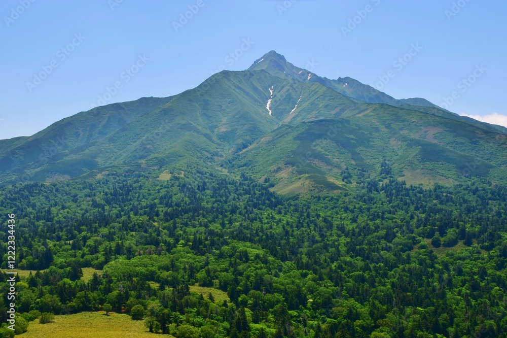 Obraz premium 緑生い茂る 利尻島