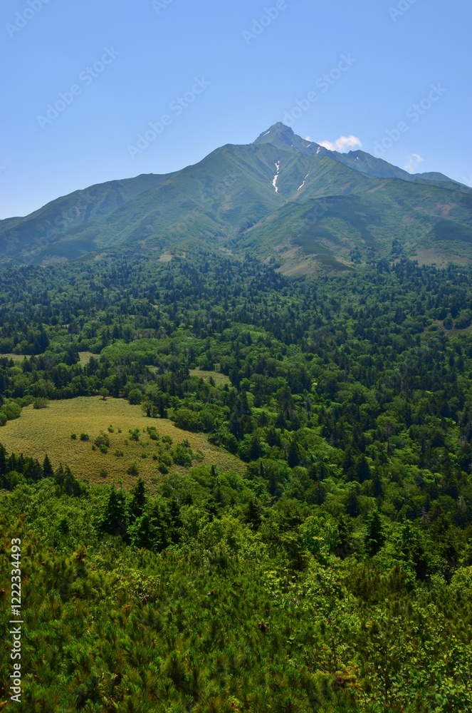 Obraz premium 緑生い茂る 利尻島
