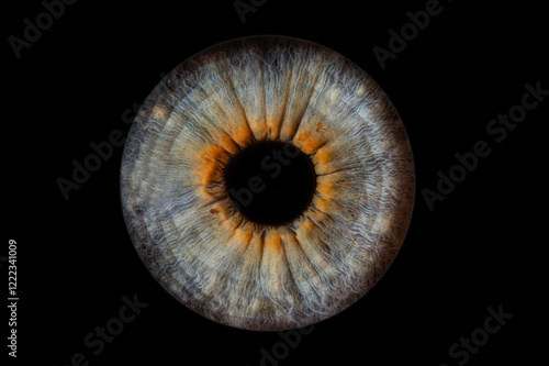 iris beauté yeux photo des yeux photos d'iris	
