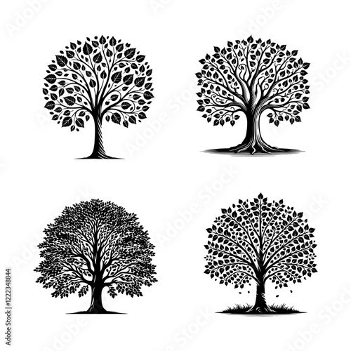 High-Quality Vector Silhouette of a Copper Beech Tree on White Background"