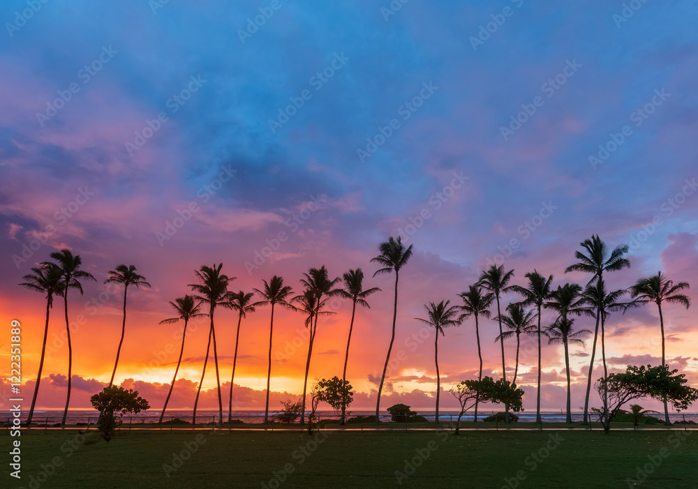 USA, Hawaii, Kauai, Pacific Ocean, Kapa'a Beach Park, palms at sunrise USA, Hawaii, Kauai, Pacific Ocean, Kapa'a Beach Park, palms at sunrise
