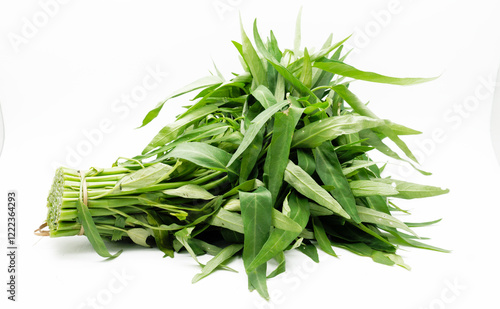 water spinach or kale green or kangkung in Indonesia isolated on white background.