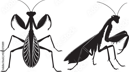 Vector mantis silhouette illustration design on white background.