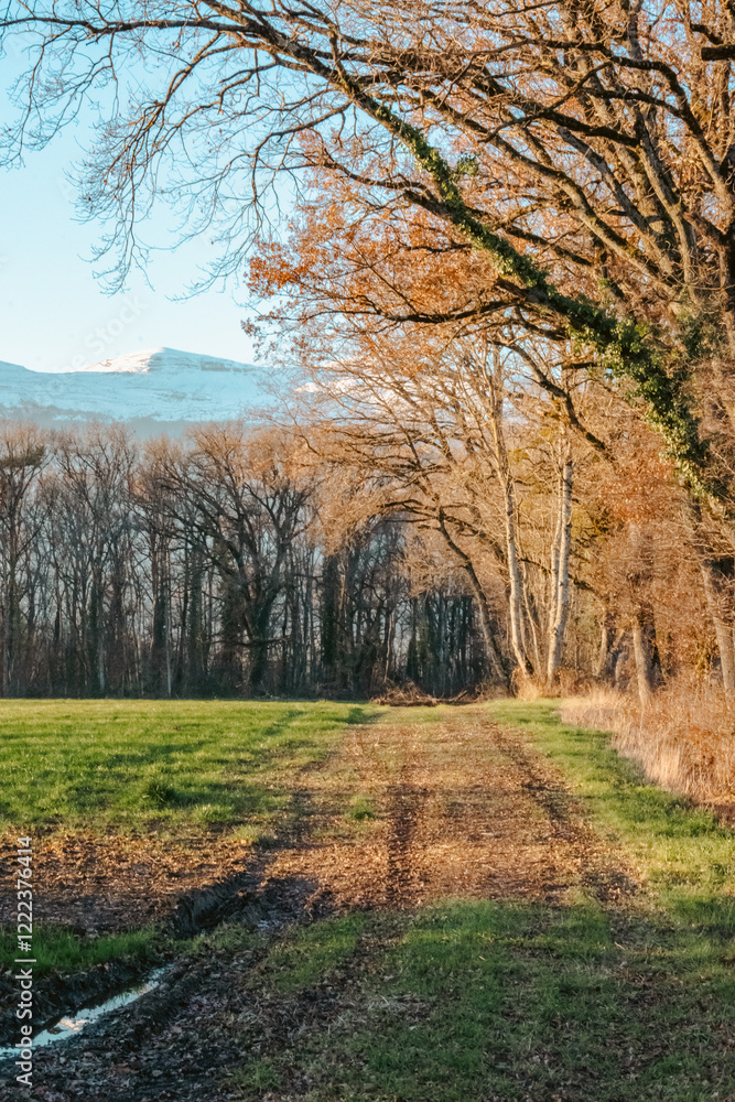 Fototapeta premium campagne du pays de Gex