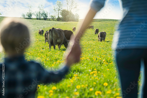 Mother and son holding hands and looking at cows grazing on a meadow with dandelions photo