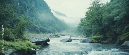 A misty river winds through a verdant forest under a pale sky, offering a serene glimpse into untouched wilderness. photo