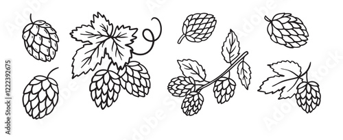 Hand drawn Hops doodle hand drawn icon set. Outline drawing hop branch with leaves and cones for beer line clipart symbol collection.