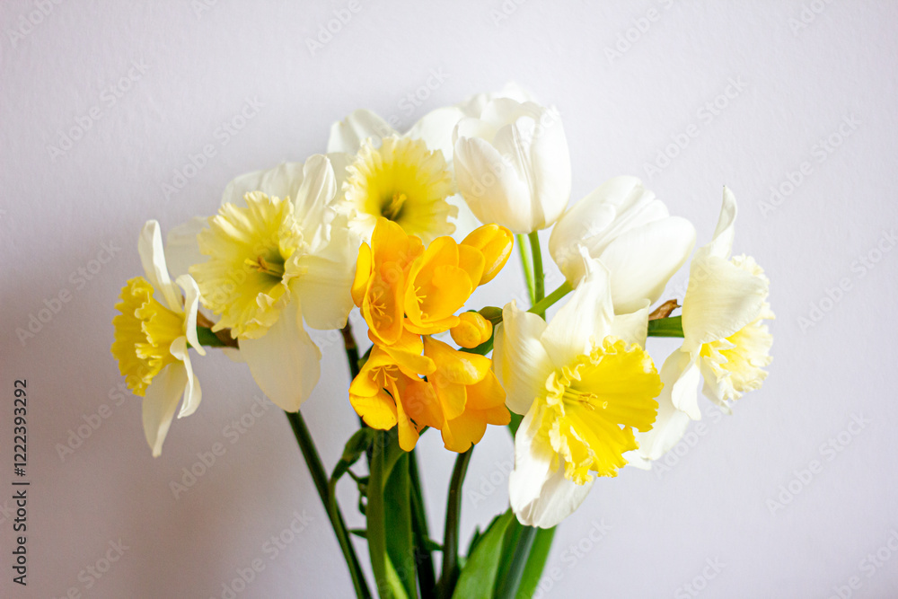 Daffodils in a vase, spring flowers Daffodils in a vase, spring flowers