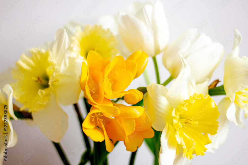 Daffodils in a vase, spring flowers Daffodils in a vase, spring flowers