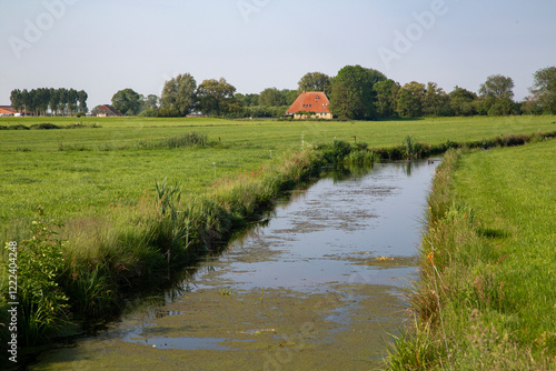 Typical landscape of Dutch province Friesland, with meadows, ditch and farm house photo