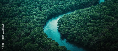 A winding river carves through a vibrant green forest, showcasing the serene magnificence of untouched wilderness from above. photo