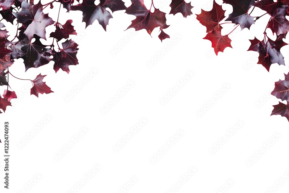 autumn leaves frame autumn leaves frame