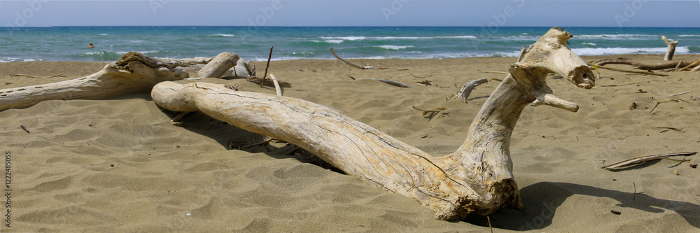Treibholz, Schwemmholz am Strand, Italien, Europa, Panorama Treibholz, Schwemmholz am Strand, Italien, Europa, Panorama