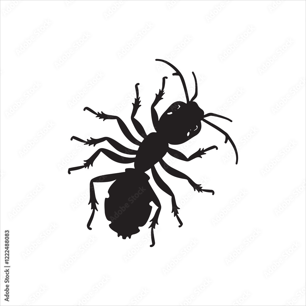 Top 10 Signs of Termite Infestation Top 10 Signs of Termite Infestation