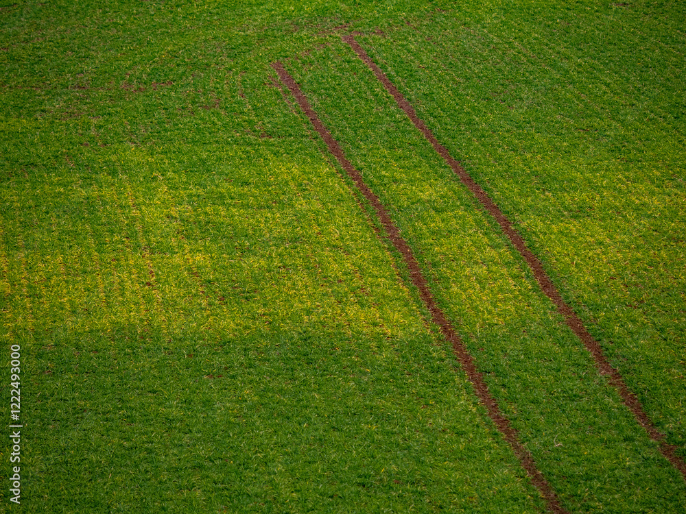 Fahrspuren im Feld