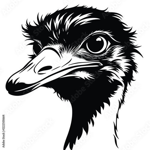  ostrich Black and white vector illustration animal silhouette 
