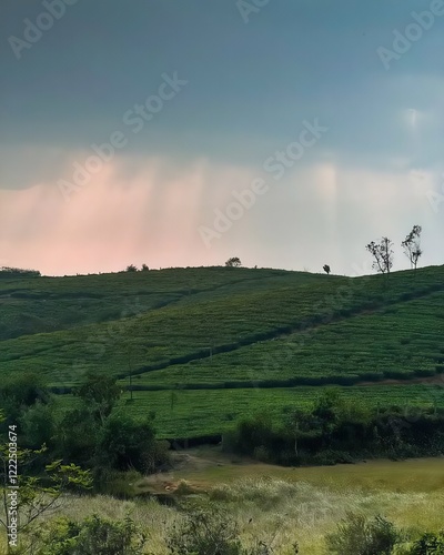 sunset over the hills