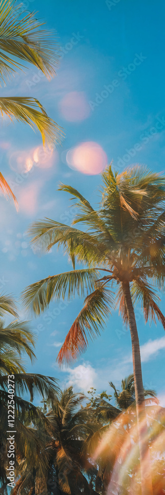 Fototapeta premium 眩い太陽を反射し 夏の青空に映り込むレンズフレアの光の効果とヤシの木、コピースペースあり