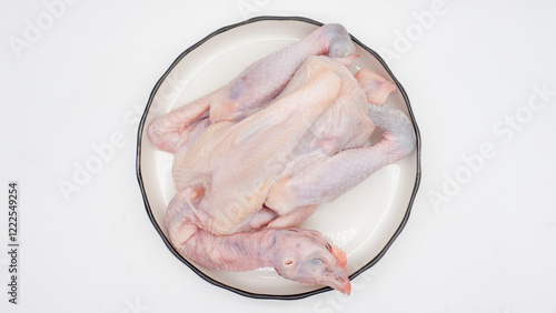 Quadro su tela Raw carcass chicken, ayam kampung in Indonesia isolated on white