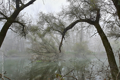 Branches of the Danube River in foggy winter weather, Danubian wetland, Slovakia photo