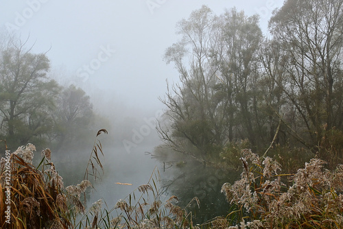 Branches of the Danube River in foggy winter weather, Danubian wetland, Slovakia photo