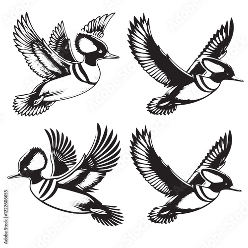 "Detailed Vector OF  the Flying Hooded Merganser Silhouette Isolated on White Background" 
