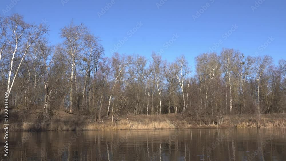 Deciduous forest on the river bank on a sunny day. Deciduous forest on the river bank on a sunny day.