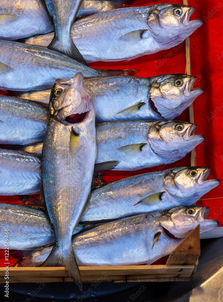 Obraz premium Fresh bluefish displayed on a vibrant red surface at a local market. A close up showcasing shiny scales and vivid colors, perfect for seafood and culinary themes.