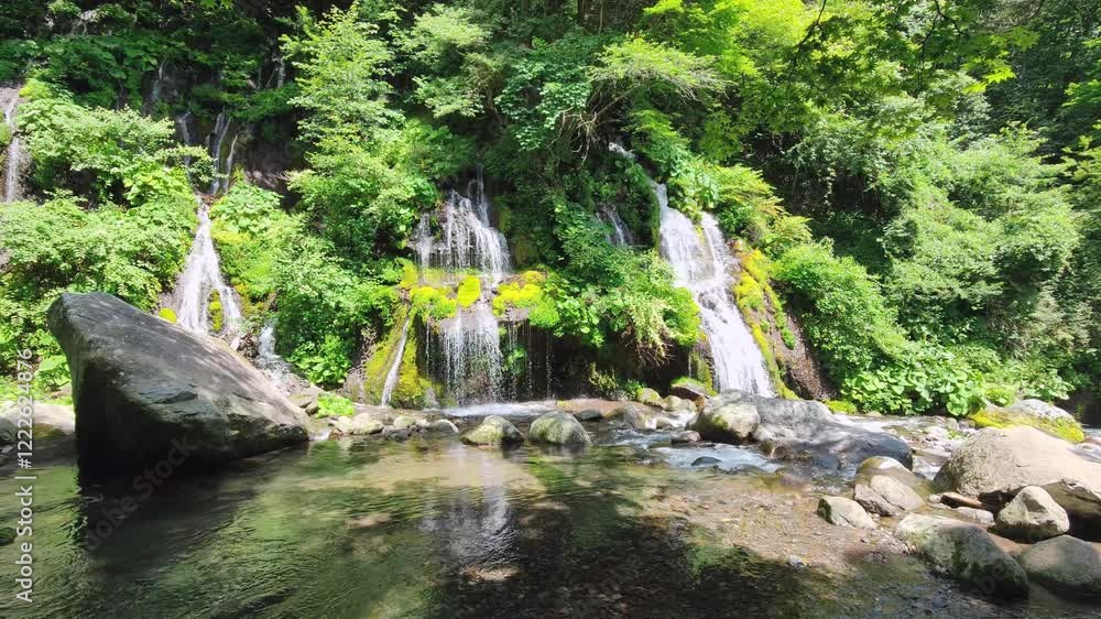 吐竜の滝 吐竜の滝