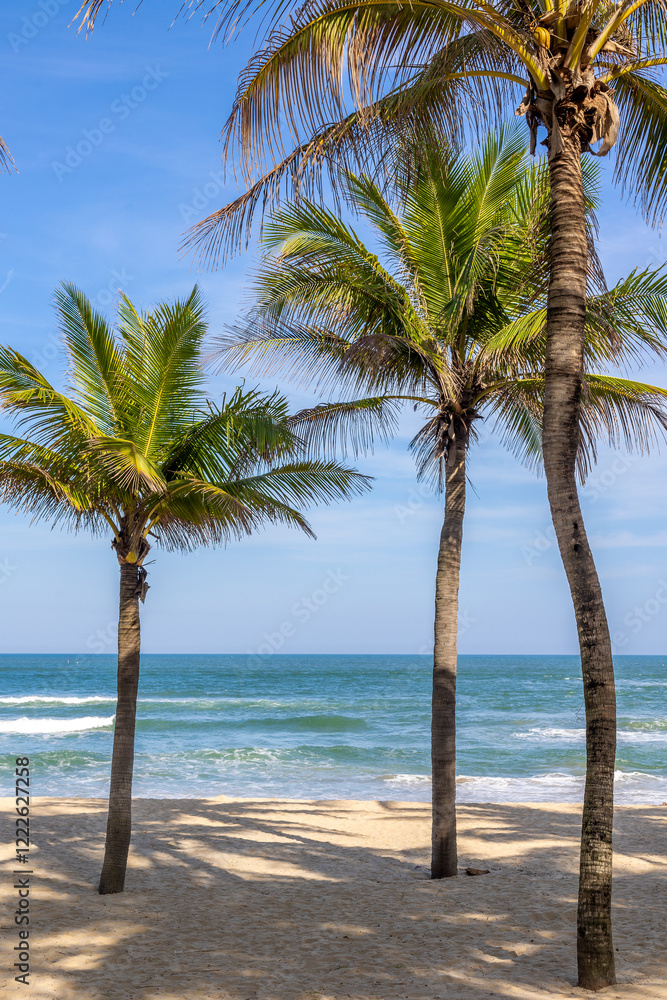 Tropical beach with palm trees and blue ocean waves on a sunny day Tropical beach with palm trees and blue ocean waves on a sunny day