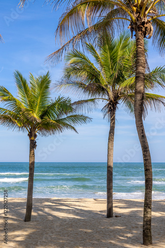 Tropical beach with palm trees and blue ocean waves on a sunny day