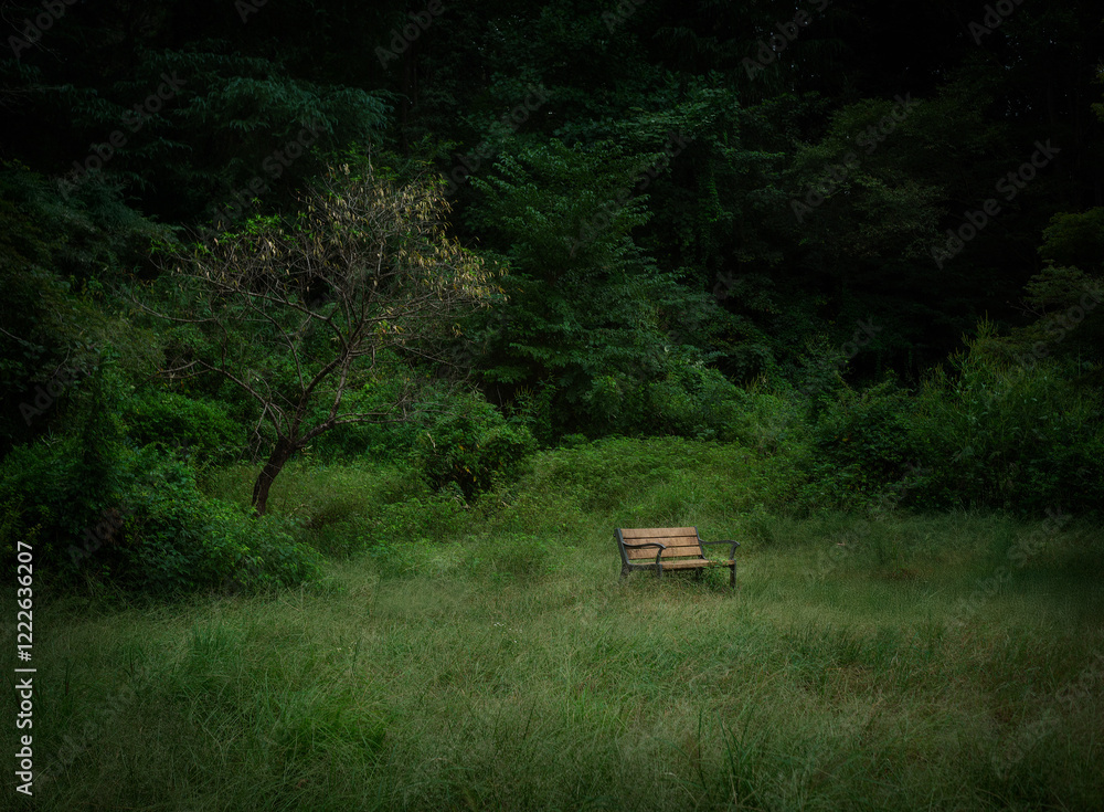 The relationship between wood and chairs The relationship between wood and chairs