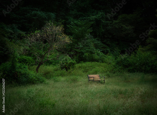The relationship between wood and chairs
